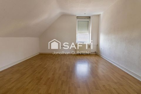 photo no. 13