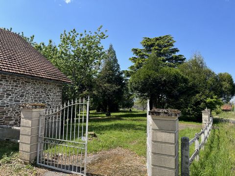 photo no. 1