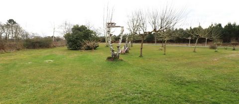 photo no. 13