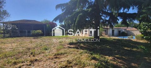 photo no. 16