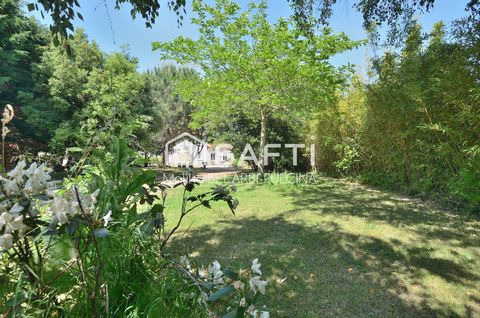 photo no. 14