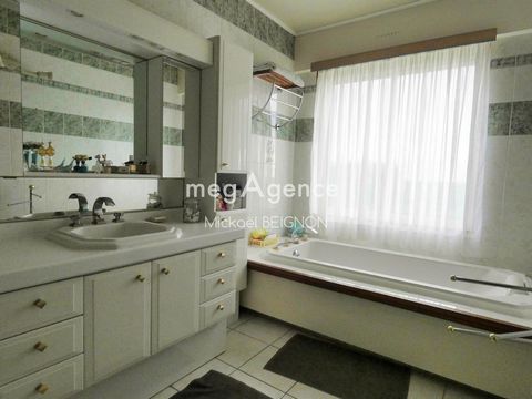 photo no. 11