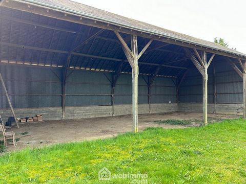 photo no. 17