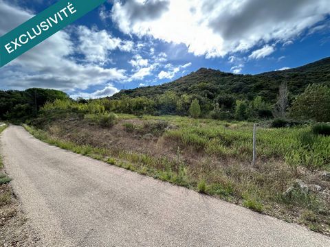 TAILLIS DE 3 HECTARES