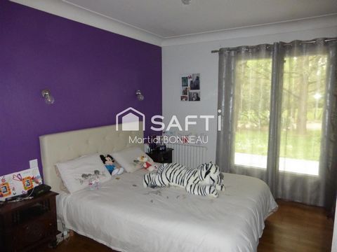 photo no. 9