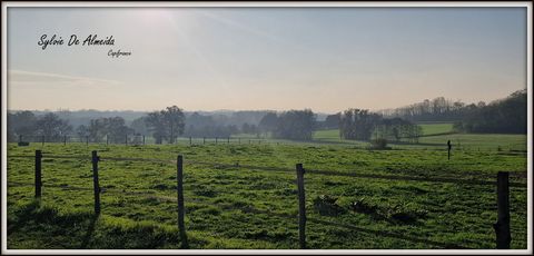 photo no. 2