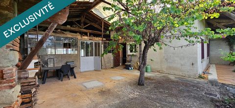 photo no. 14