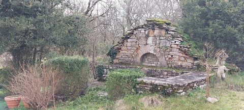 photo no. 16