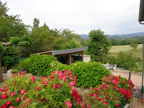 photo no. 6