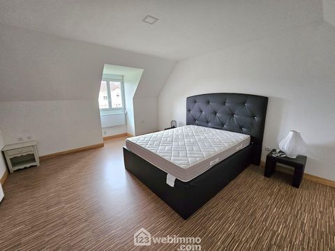 photo no. 11