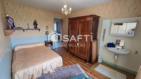 photo no. 11