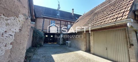 photo no. 12