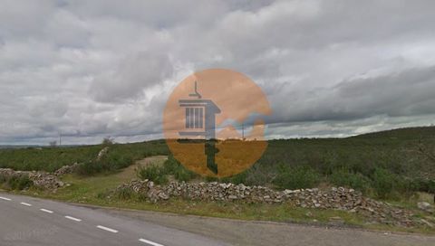 Terreno rústico em Alcoutim, no Cerro da Vinha, Freguesia do Pereiro. Bons acessos, forma regular e bastante plano. Ideal para colocação de caravana. Fica perto de aldeias com eletricidade instalada. Fica a cerca de 15 km a Oeste de Alcoutim, onde te...