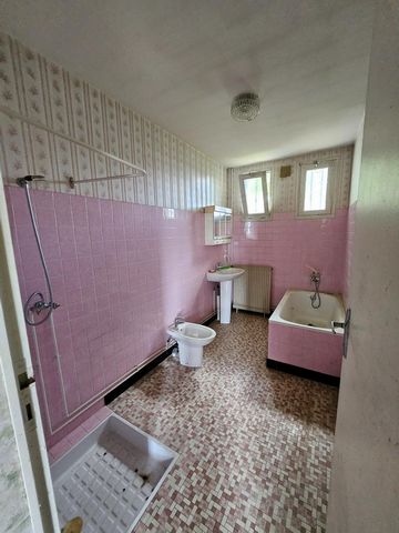 photo no. 7