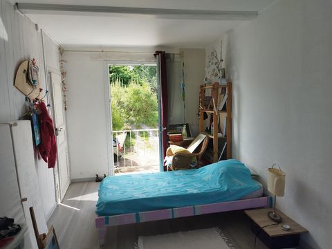 photo no. 16