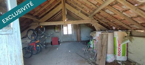 photo no. 18