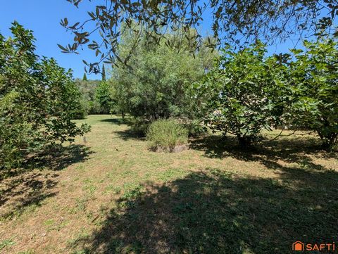 photo no. 14
