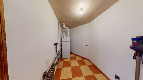photo no. 7
