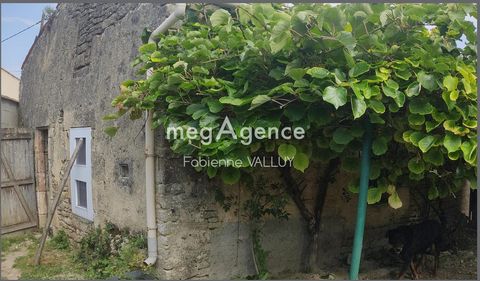 photo no. 5