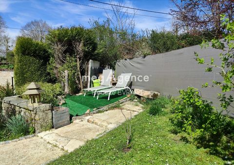 photo no. 12