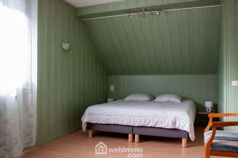 photo no. 10