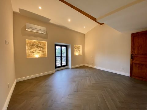 Loft entièrement rénové avec terrasse-vue Cité de Carcassonne.