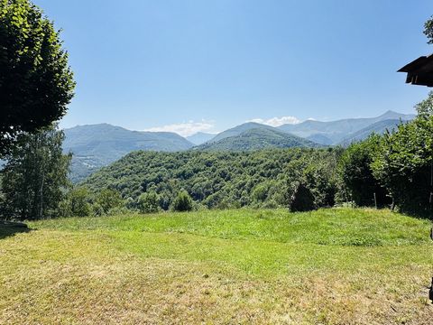 photo no. 6