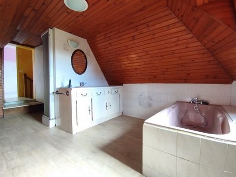 photo no. 10