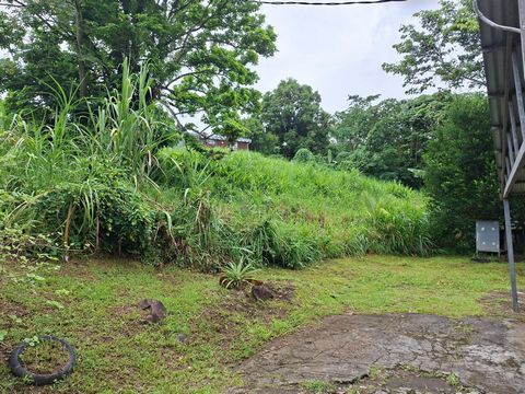 photo no. 6