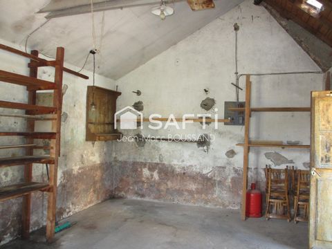 photo no. 12