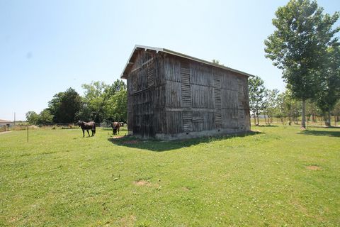 photo no. 1