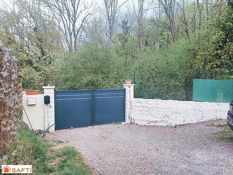 photo no. 11