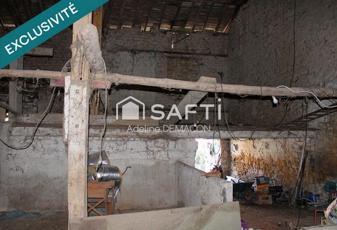 photo no. 10