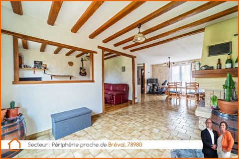 photo no. 12