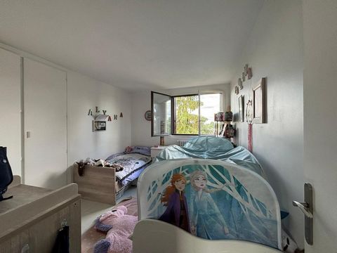 photo no. 7