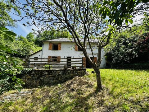 Maison de Hameau de Montagne 09800