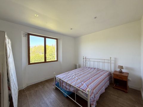 photo no. 11