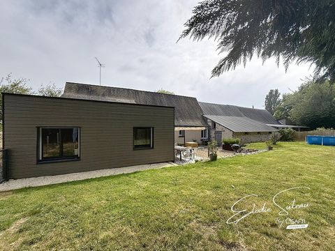 photo no. 13