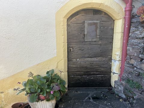 photo no. 15