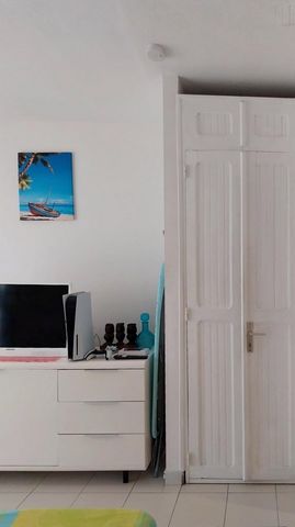 photo no. 6