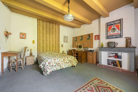 photo no. 4