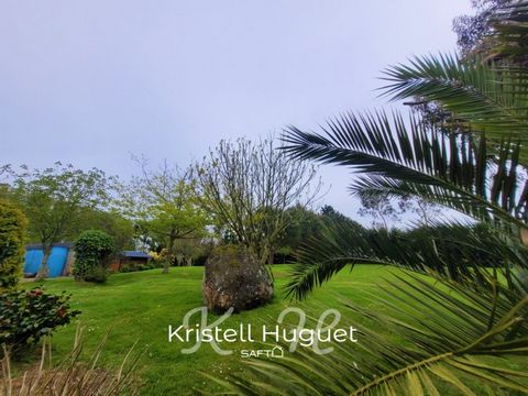 photo no. 8