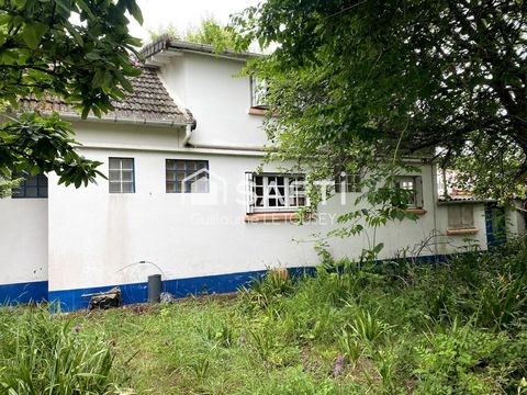 photo no. 2