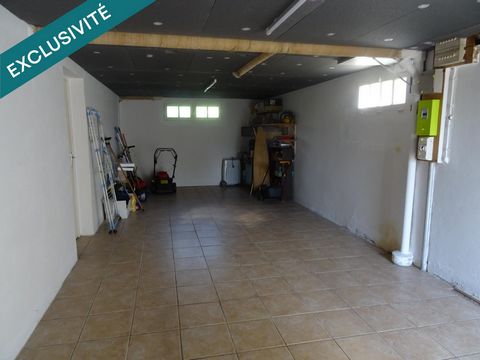 photo no. 12