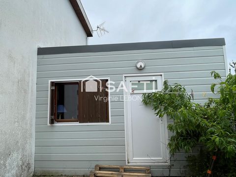 photo no. 5