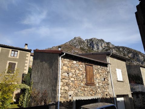photo no. 9