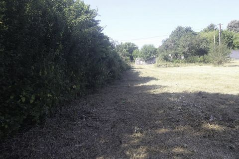 photo no. 2