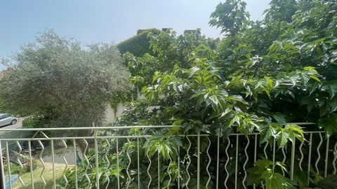 photo no. 8