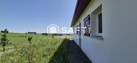 photo no. 3