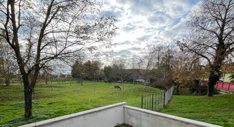 photo no. 2